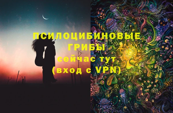 ешки Балахна